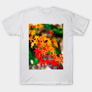 Photography - Japanese fall T-Shirt